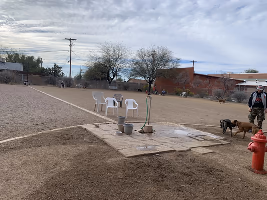 North Sixth Avenue Dog Park photo 1